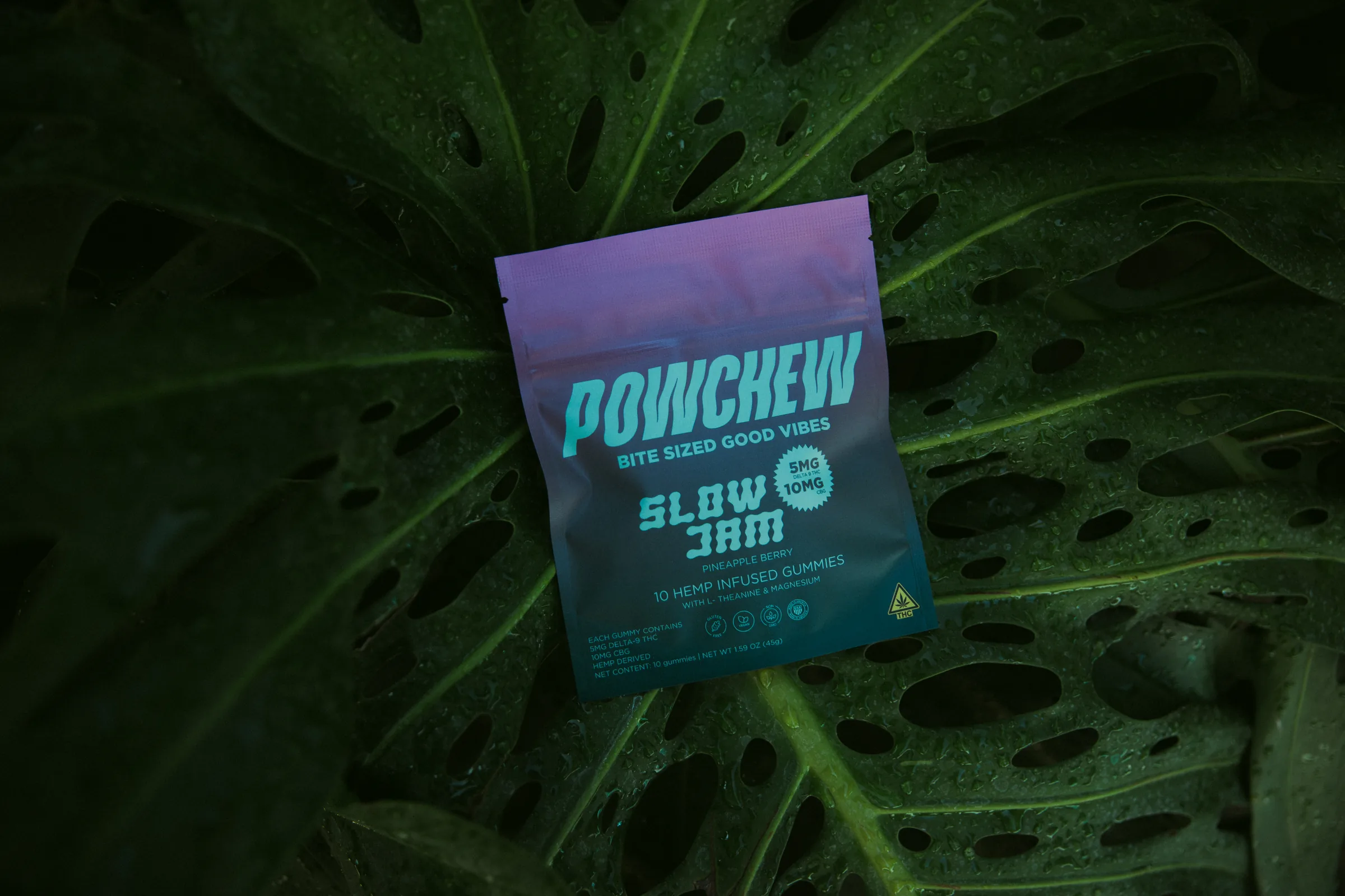 Slow Jam pouch on a rain-wet monstera leaf